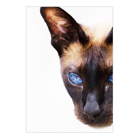 Siamese Cat Large Tapestry from ArtsNow.com Front