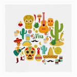 viva mexico Medium Glasses Cloth