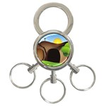 christ tomb 3-Ring Key Chain