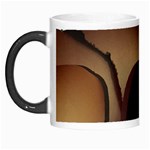 christ tomb Morph Mug