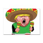 Cinco de Mayo trump Sticker A4 (10 pack)