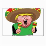 Cinco de Mayo trump Postcard 5  x 7 