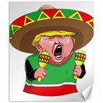 Cinco de Mayo trump Canvas 20  x 24 