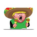 Cinco de Mayo trump Plate Mat