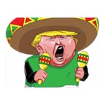 Cinco de Mayo trump Double Sided Flano Blanket (Mini)