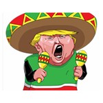 Cinco de Mayo trump Double Sided Flano Blanket (Medium)