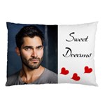 Derek Tyler Hoechlin Teen Wolf Pillow Case