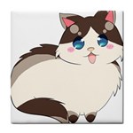 Ragdoll Cat for Life Tile Coasters