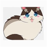 Ragdoll Cat for Life Small Glasses Cloth (2-Side)