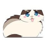 Ragdoll Cat for Life Plate Mats