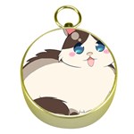 Ragdoll Cat for Life Gold Compasses