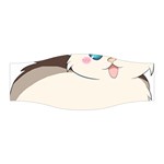 Ragdoll Cat for Life Stretchable Headband