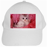 pink fluffy kitten White Cap