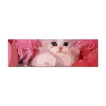 pink fluffy kitten Sticker Bumper (10 pack)