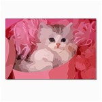 pink fluffy kitten Postcard 4  x 6 