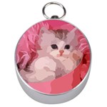 pink fluffy kitten Silver Compass