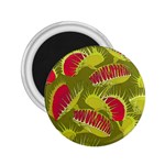 Halloween Fly Trap 2.25  Magnet