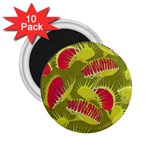 Halloween Fly Trap 2.25  Magnet (10 pack)