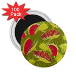 Halloween Fly Trap 2.25  Magnet (100 pack) 