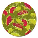 Halloween Fly Trap Magnet 5  (Round)