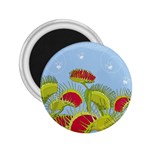 Blue Fly Trap 2.25  Magnet