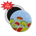 Blue Fly Trap 2.25  Magnet (10 pack)