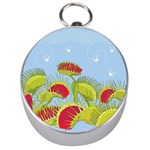 Blue Fly Trap Silver Compass