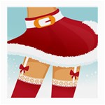 Sexy Mrs Santa Claus Medium Glasses Cloth