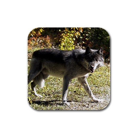 Wolf Teething Rubber Square Coaster (4 pack) from ArtsNow.com Front