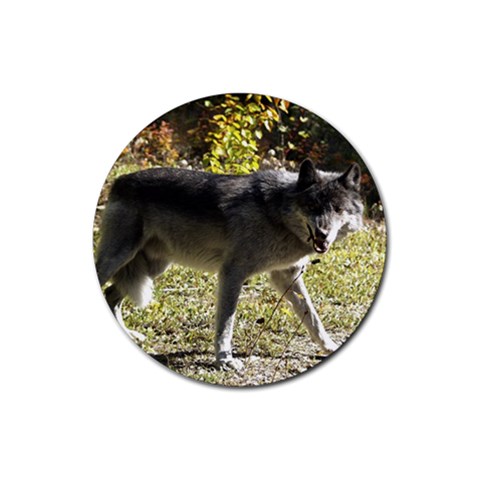 Wolf Teething Rubber Round Coaster (4 pack) from ArtsNow.com Front