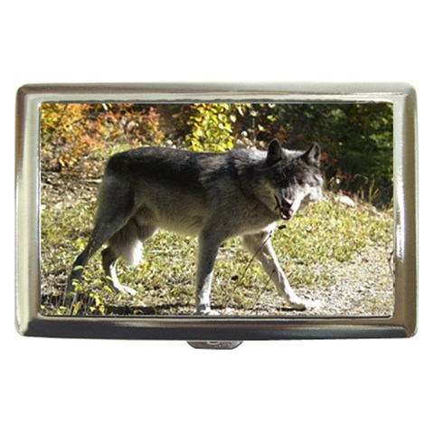 Wolf Teething Cigarette Money Case from ArtsNow.com Front