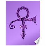 Prince Symbol Canvas 12  x 16 