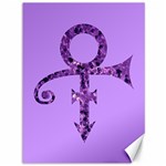 Prince Symbol Canvas 36  x 48 