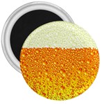 Beer snob 3  Magnet