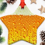 Beer snob Ornament (Star)