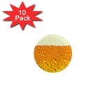 Beer snob 1  Mini Magnet (10 pack) 