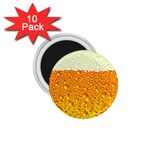 Beer snob 1.75  Magnet (10 pack) 