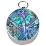 Iridescent Silver Compass