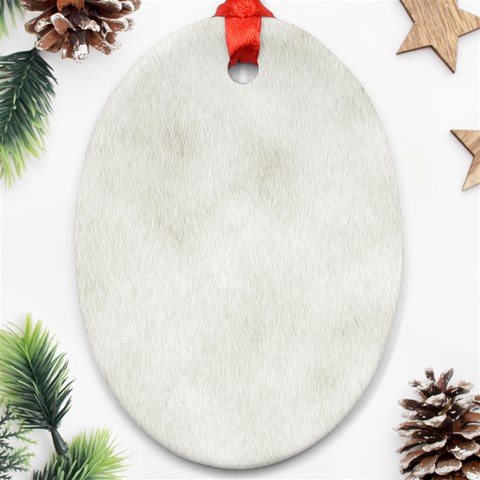 an_texture09 Ornament (Oval) from ArtsNow.com Front