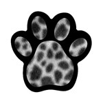 an_texture14 Magnet (Paw Print)