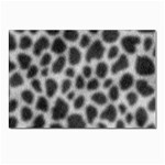 an_texture14 Postcard 4 x 6  (Pkg of 10)