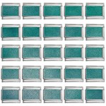 fa_texture01 9mm Italian Charm (25 pack)