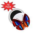 006 1.75  Magnet (10 pack) 