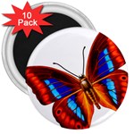 006 3  Magnet (10 pack)