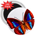 006 3  Magnet (100 pack)