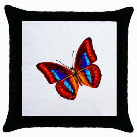 006 Throw Pillow Case (Black) from ArtsNow.com Front