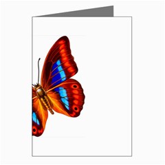 006 Greeting Cards (Pkg of 8) from ArtsNow.com Left