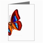 006 Greeting Cards (Pkg of 8)