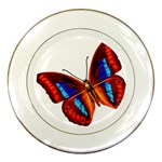 006 Porcelain Plate