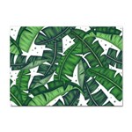 Banana Leaf Sticker A4 (10 pack)